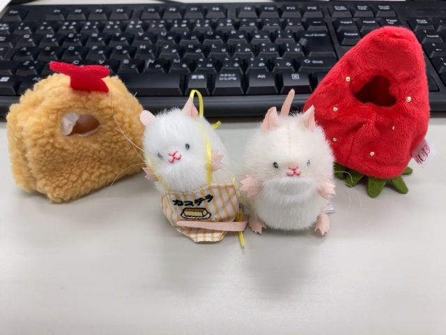 ねずみのぬいぐるみ&着ぐるみコレクション♪